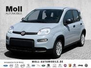 Fiat Panda, Tech, Jahr 2023 - Aachen