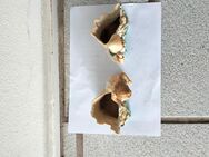 2 gebrauchte Deko Vasen aus Keramik - Dettenheim