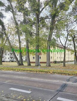 gepflegte Wohnanlage - 2 MFH - kernsaniert - 7,2 % Sollrendite - Dessau-Roßlau