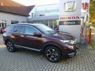 Honda CR-V, 2.0 i-MMD HYBRID Executive, Jahr 2020 - Naumburg (Saale)