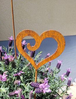 Tolle Herzstecker in 3 Größen Gartenstecker Edelrost - Kraftisried