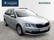 Skoda Octavia, 1.6 TDI C Ambition APP, Jahr 2020 - Amelinghausen