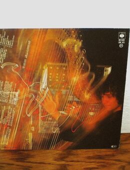 Andreas Vollenweider-Behind the Gardens-Vinyl-LP,1981 - Linnich