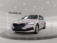 Skoda Scala, 1.0 TSI Active, Jahr 2022 - Wolfhagen