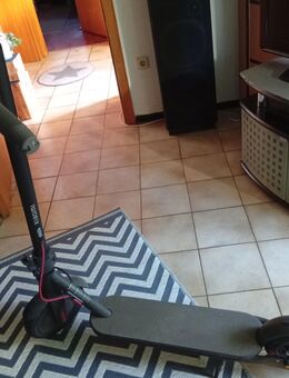 E Scooter Xiaomi S4 - Frankenberg (Eder)