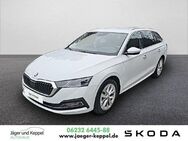 Skoda Octavia, 2.0 l TDI COMBI First Edition 110, Jahr 2020 - Speyer