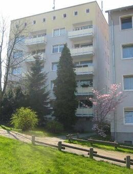 Eine Wohnung mit Ausblick: renovierte 2,5-Zimmer-Wohnung - Essen
