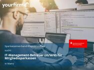IT-Management-Betreuer (m/w/d) für Mitgliedssparkassen - Mainz