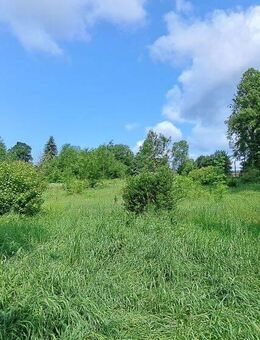 Verkaufe Bauland mit Mehrzweckgebäude in Südhanglage - Mulda (Sachsen)