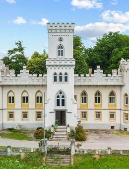 Königlich residieren im Schloss - Exklusive Eigentumswohnung im prachtvollen Schlossambiente - Berg (Baden-Württemberg)