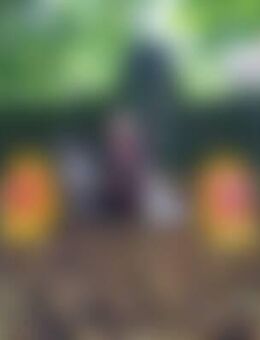 Tof*** - Mielkendorf