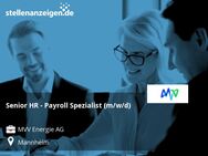 Senior HR - Payroll Spezialist (m/w/d) - Mannheim