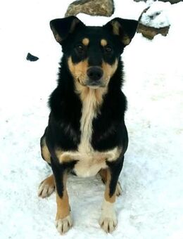 Emma - Mönchengladbach