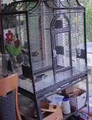 Vogelkäfig Montana Madeira II in 51379