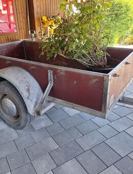 PKW ANHÄNGER- 1000KG ZGG- TÜV 3/27 - Höxter