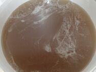 Bienenwachs und Honig biozertifizierte Qualität - Ochsenfurt