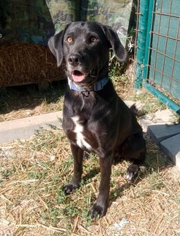 KALLE - bin dabei, Hauptsache zusammen - Overath