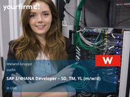 SAP S/4HANA Developer – SD, TM, YL (m/w/d) - Ulm