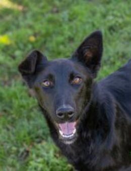 ROMINA - mein Zuhause fröhlicher machen - Overath