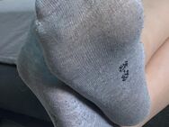 Getragene Socken, variabel - Hamm (Sieg)