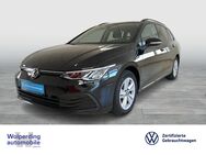 VW Golf Variant, 2.0 TDI Golf VIII Life, Jahr 2021 - Winsen (Luhe)