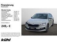 Skoda Scala, 1.0 TSI Drive 125, Jahr 2020 - Hildesheim