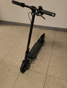 Ninebot F2D eScooter guter Zustand - Dortmund