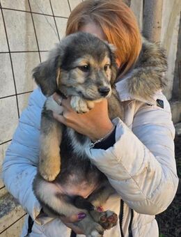 Verity - Neubrunn (Bayern)