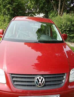 Volkswagen Caddy Maxi 7 sitzer - Renningen