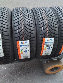 4 Neue Allwetterreifen Ganzjahresreifen G 185 55 15 86 V Ceat 270,- Euro incl Montage. - Sprendlingen