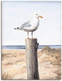 Artland Wandbild Möwe, Vögel (1 St), als Alubild, Outdoorbild, Leinwandbild, Poster, Wandaufkleber