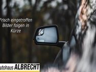 Renault Kadjar, BUSINESS Edition TCe 14, Jahr 2019 - Brandenburg (Havel)