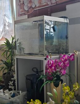 DRINGEND! Verkaufe Aquarium, Lampe, Unterschrank, Topffilter - Bleckede