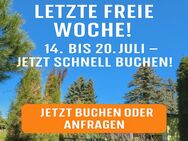 Urlaub Ferienhaus Königsnase Sächsische Schweiz - noch eine Woche frei im Juli - Struppen
