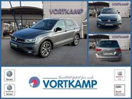 VW Tiguan, IQ DRIVE AppConnect, Jahr 2019 - Gronau (Westfalen)