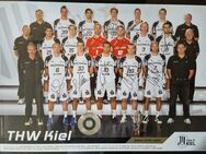 Plakat -THW Kiel - die Meister-Mannschaft 2008/2009 in 56566