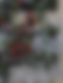 Evi*** - Großengottern