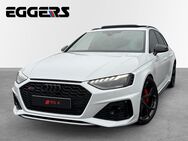 Audi RS4, 2.9 TFSI qu Avant Competition, Jahr 2024 - Verden (Aller)