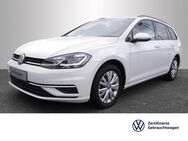 VW Golf Variant, 2.0 TDI Comfortline, Jahr 2019 - Gengenbach