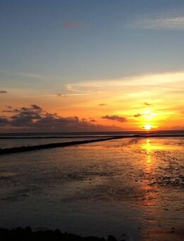 Voll ausgestattete Ferienwohnung - Emmelsbüll-Horsbüll