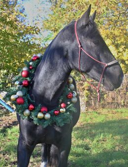Hobby Fotografin sucht neue Motive zum üben - Braunsbedra