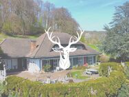 Elegante Villa mit einem unvergleichlichen Ausblick in bester Lage von Tiengen zu verkaufen - Waldshut-Tiengen