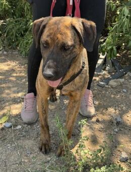 Abenteuer Bruno sucht seine Familie! - Hamburg