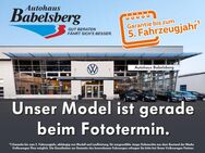 VW Crafter, Kombi 35 TDI RAMPE, Jahr 2019 - Potsdam