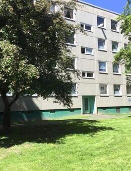 Schöner Wohnen: günstige 2-Zimmer-Wohnung - Kassel