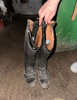 Reitstiefel - Ulm