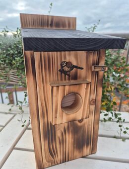 Der Nistkasten mit Kamera - Viersen