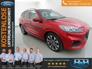 Ford Kuga 2.5 Plug-in Hybrid ST-Line X Headup+PanDach - Premnitz