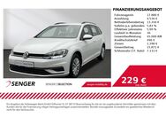 VW Golf Variant, 1.6 TDI Golf VII Trendline, Jahr 2020 - Emsdetten