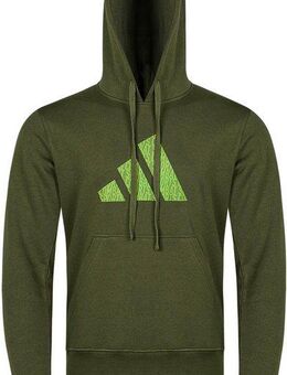adidas Performance Hoodie Perfo Script Graphic Hoody